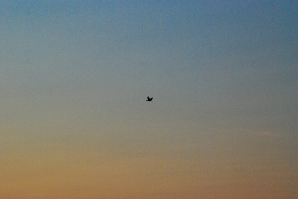 away